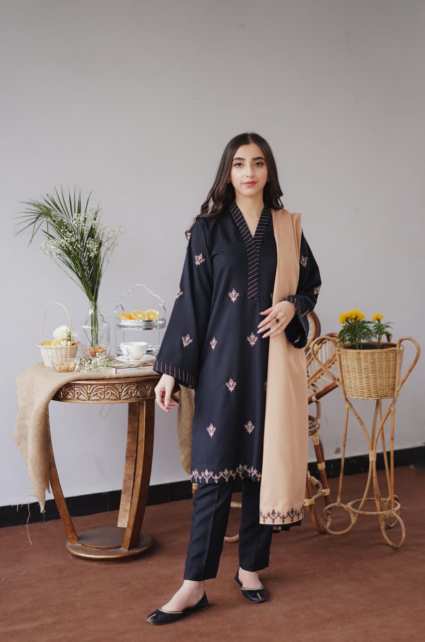 Dhanak — Black & Beige Embroidered — Unstitched · 3-Piece · Linen